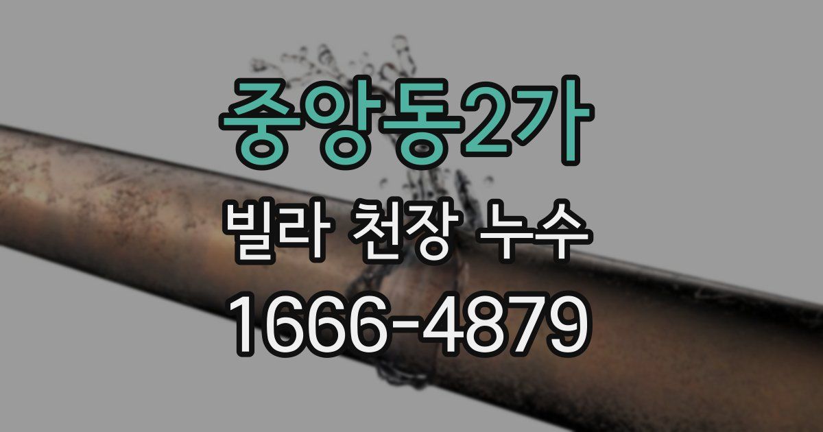 중앙동2가 빌라 천장 누수