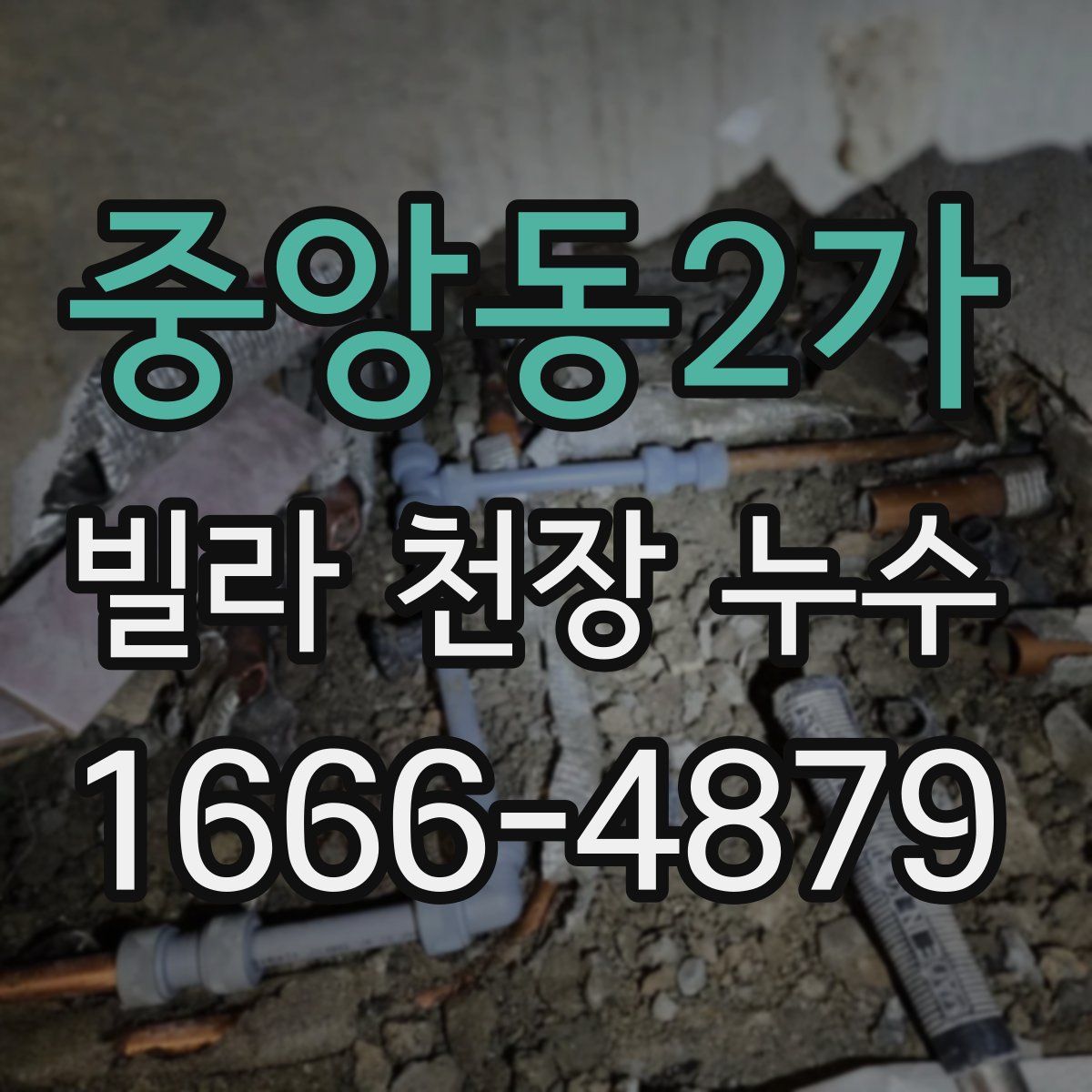 중앙동2가 빌라 천장 누수