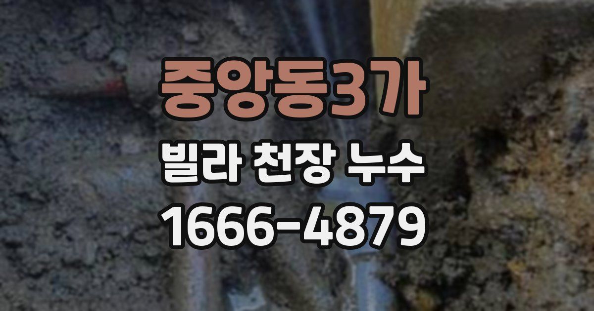 중앙동3가 빌라 천장 누수
