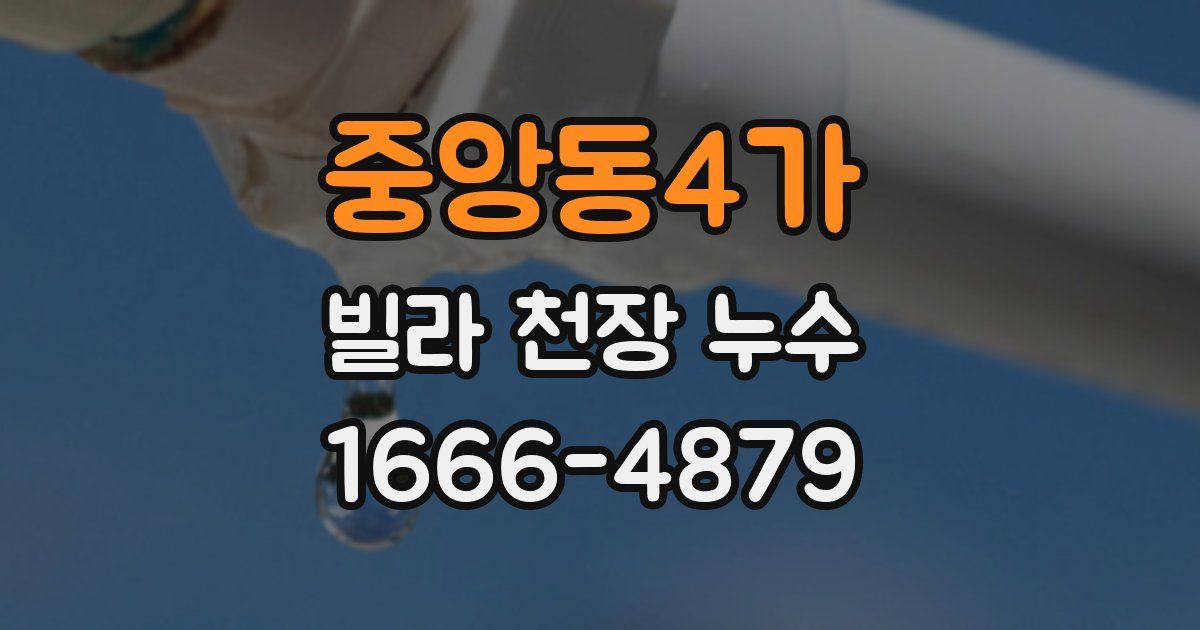 중앙동4가 빌라 천장 누수