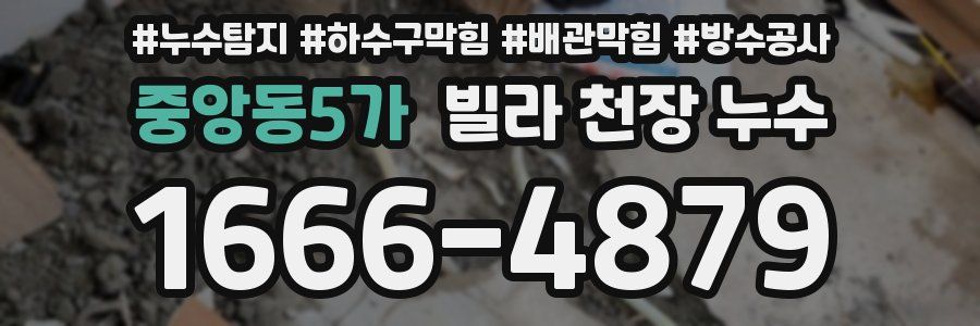 중앙동5가 빌라 천장 누수