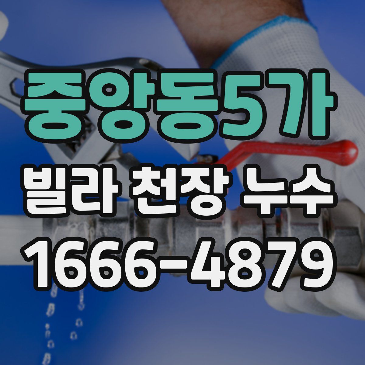 중앙동5가 빌라 천장 누수