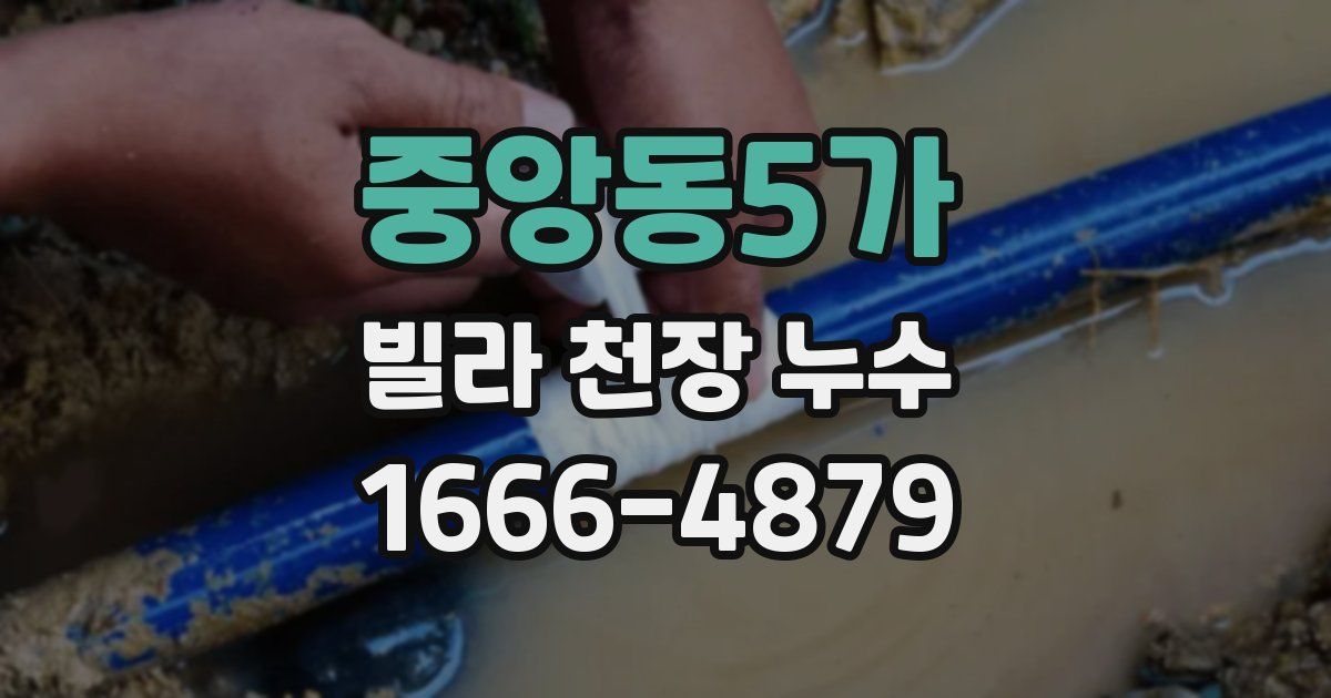 중앙동5가 빌라 천장 누수