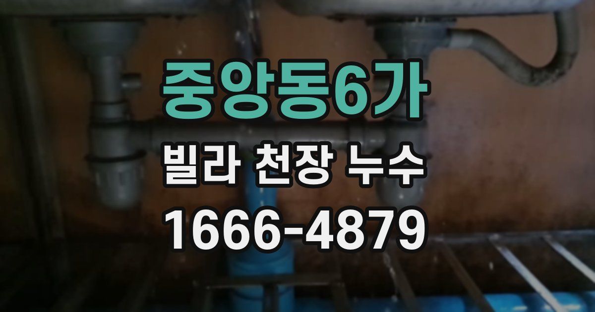 중앙동6가 빌라 천장 누수