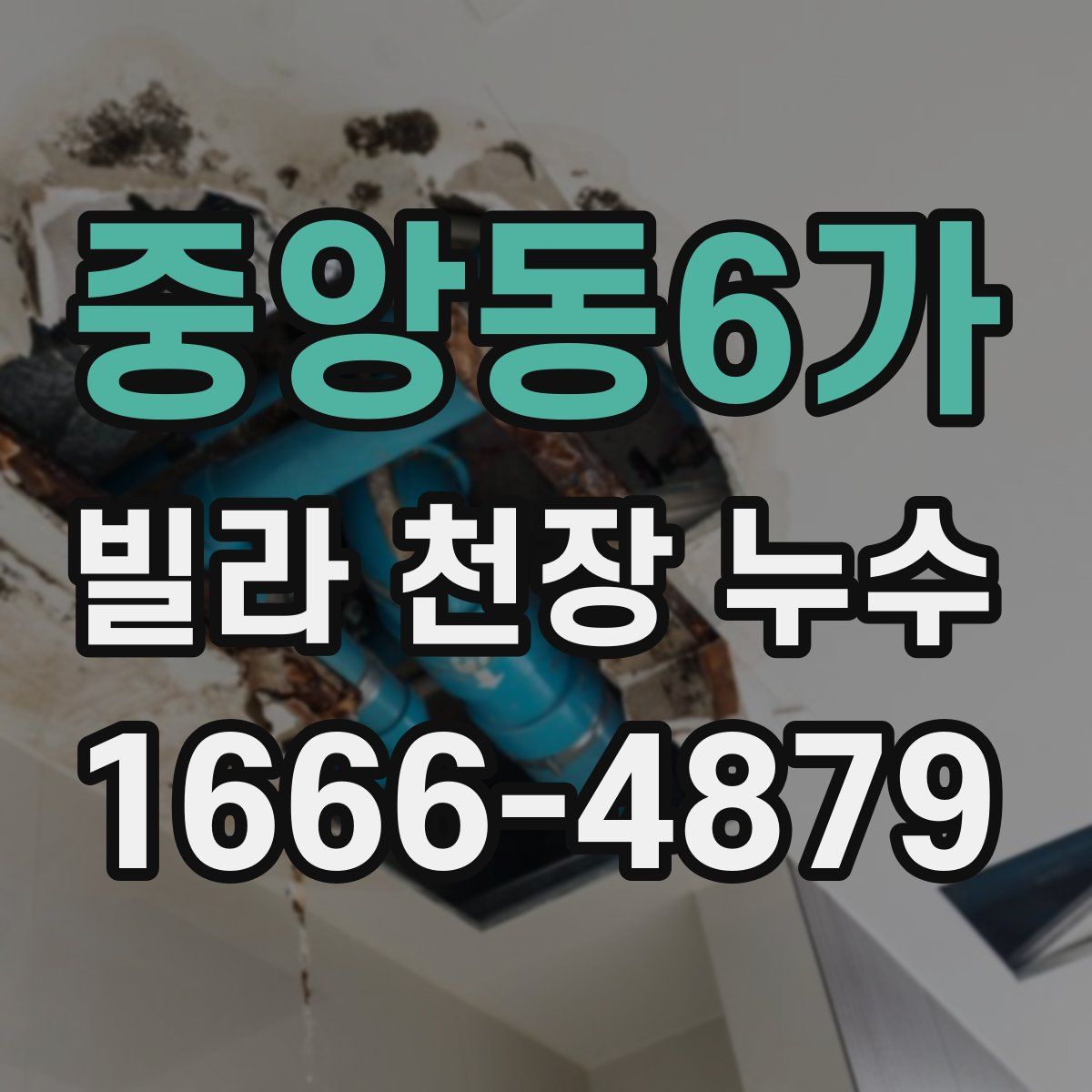 중앙동6가 빌라 천장 누수