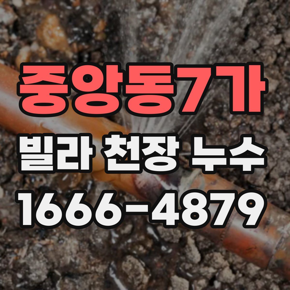 중앙동7가 빌라 천장 누수