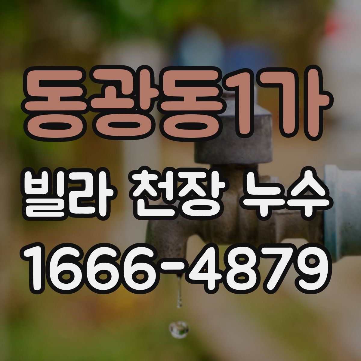 동광동1가 빌라 천장 누수