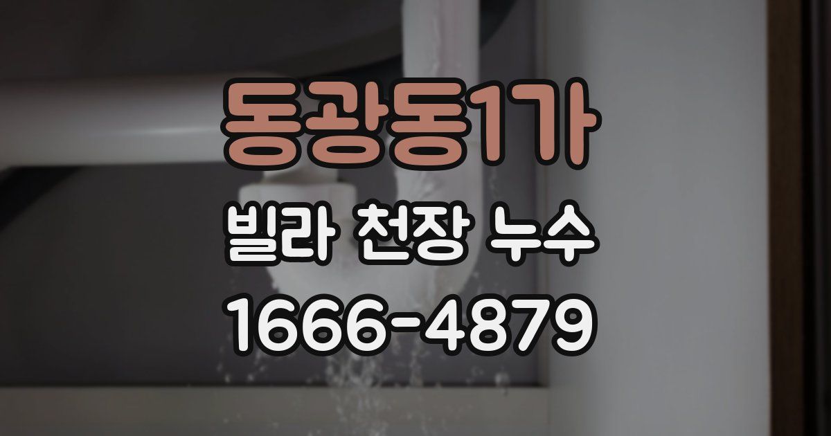 동광동1가 빌라 천장 누수
