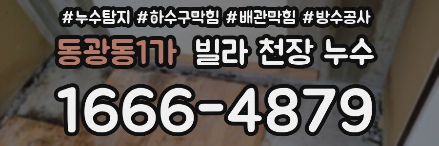 동광동1가 빌라 천장 누수