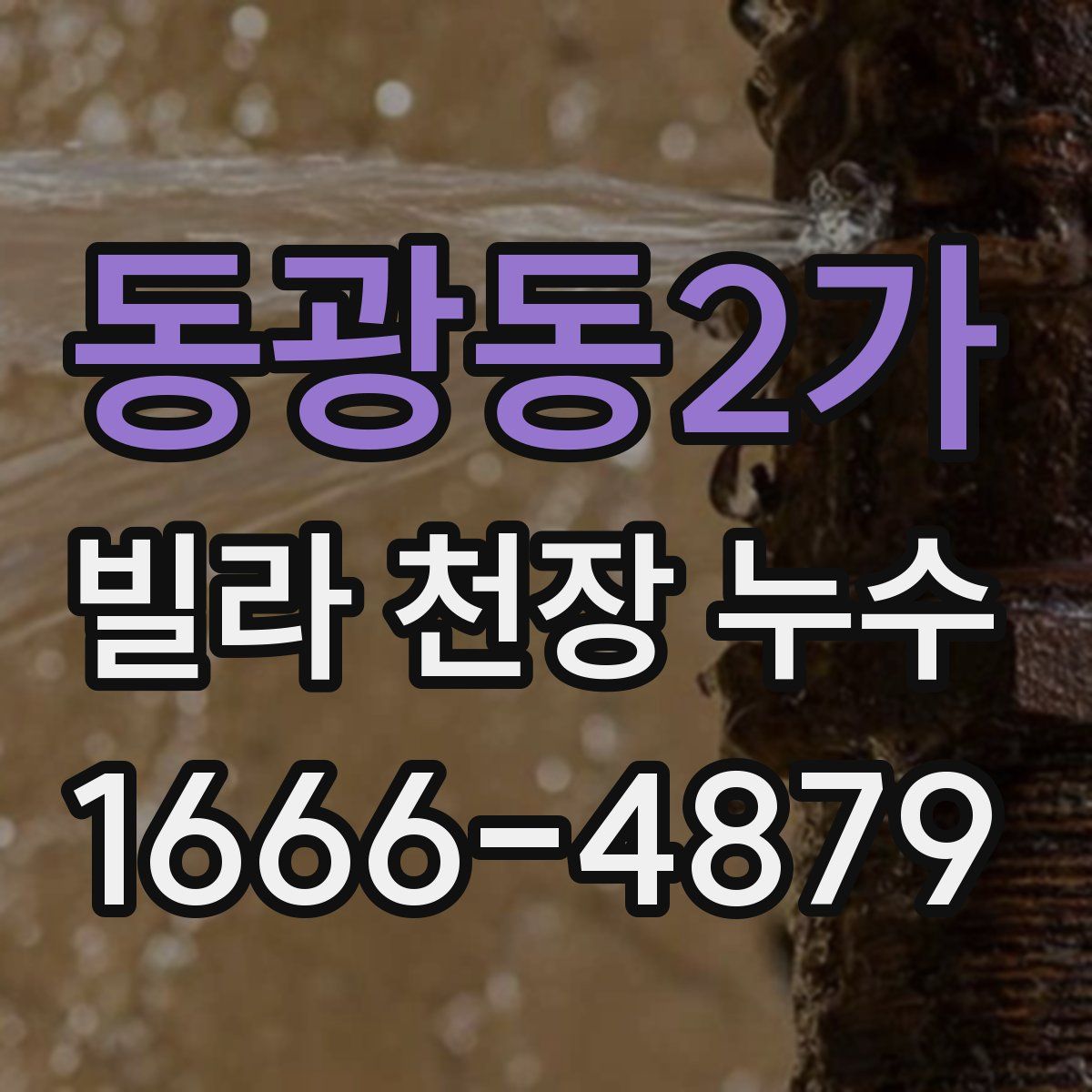 동광동2가 빌라 천장 누수