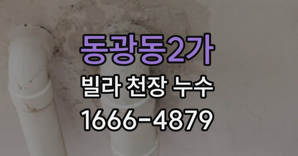 동광동2가 빌라 천장 누수