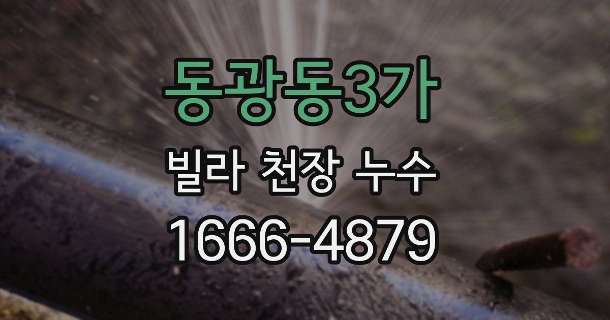 동광동3가 빌라 천장 누수