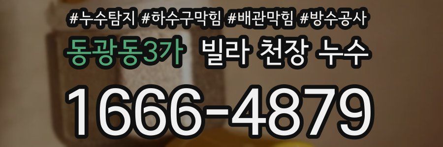 동광동3가 빌라 천장 누수