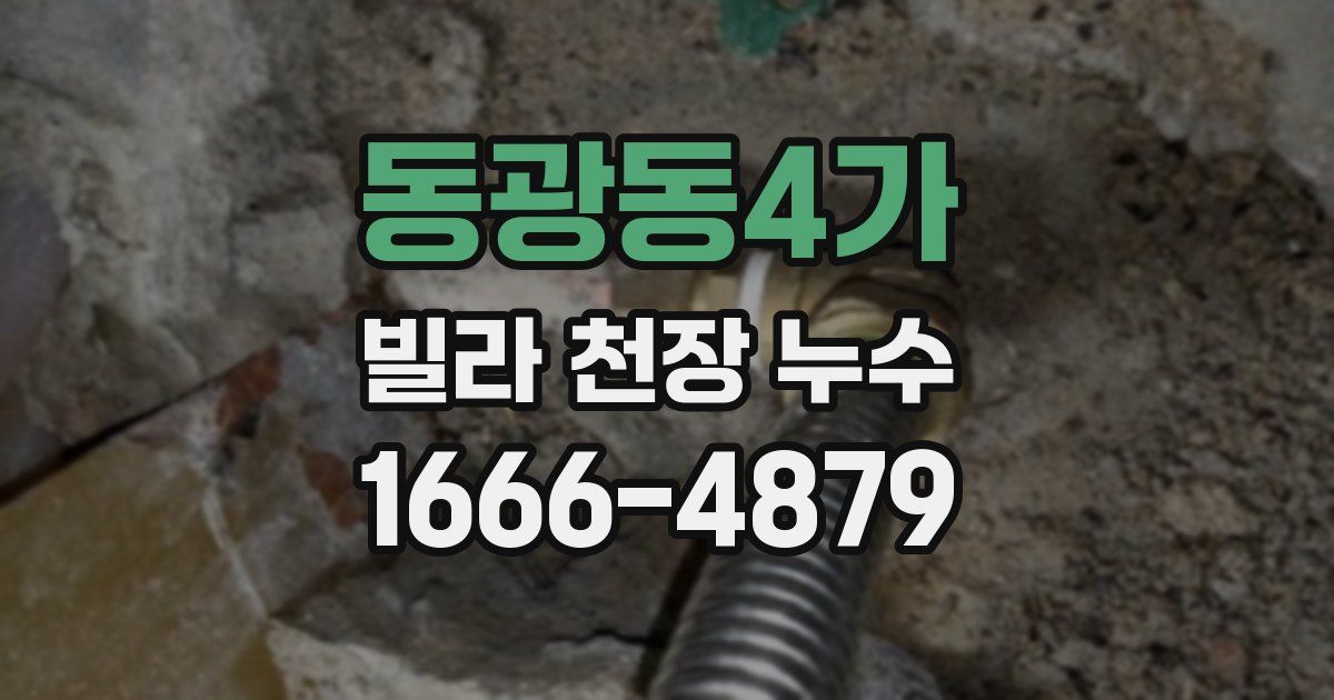 동광동4가 빌라 천장 누수