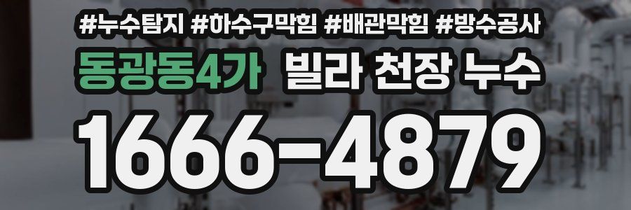 동광동4가 빌라 천장 누수