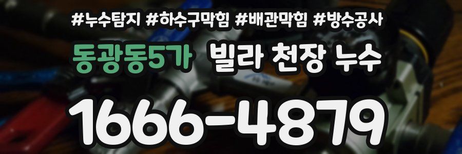 동광동5가 빌라 천장 누수