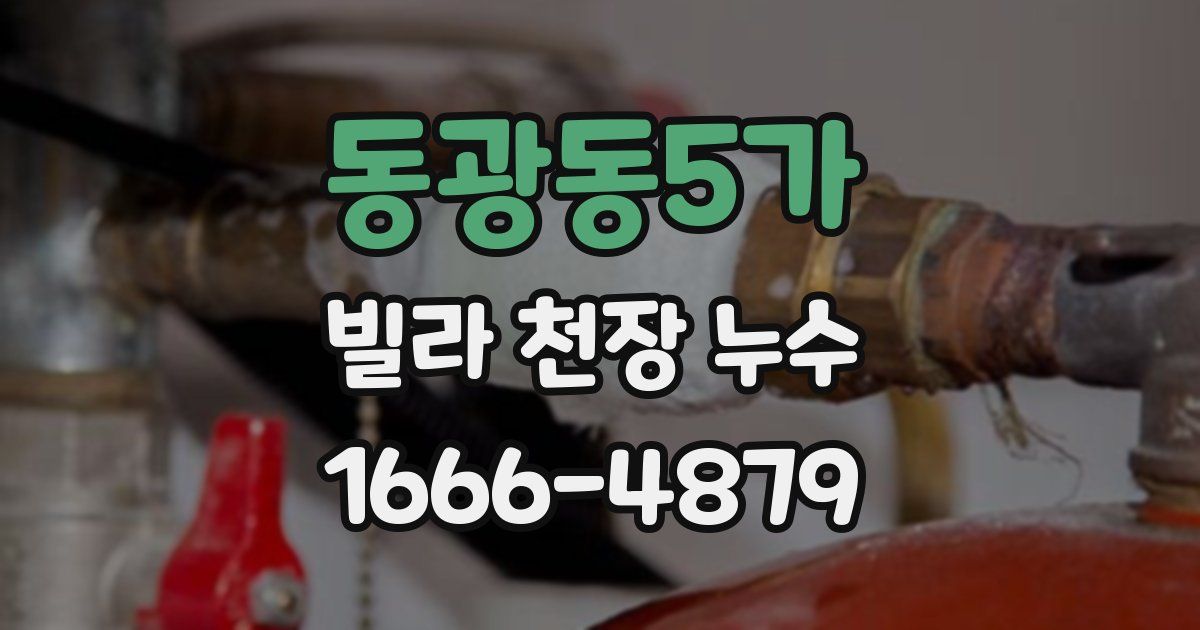 동광동5가 빌라 천장 누수