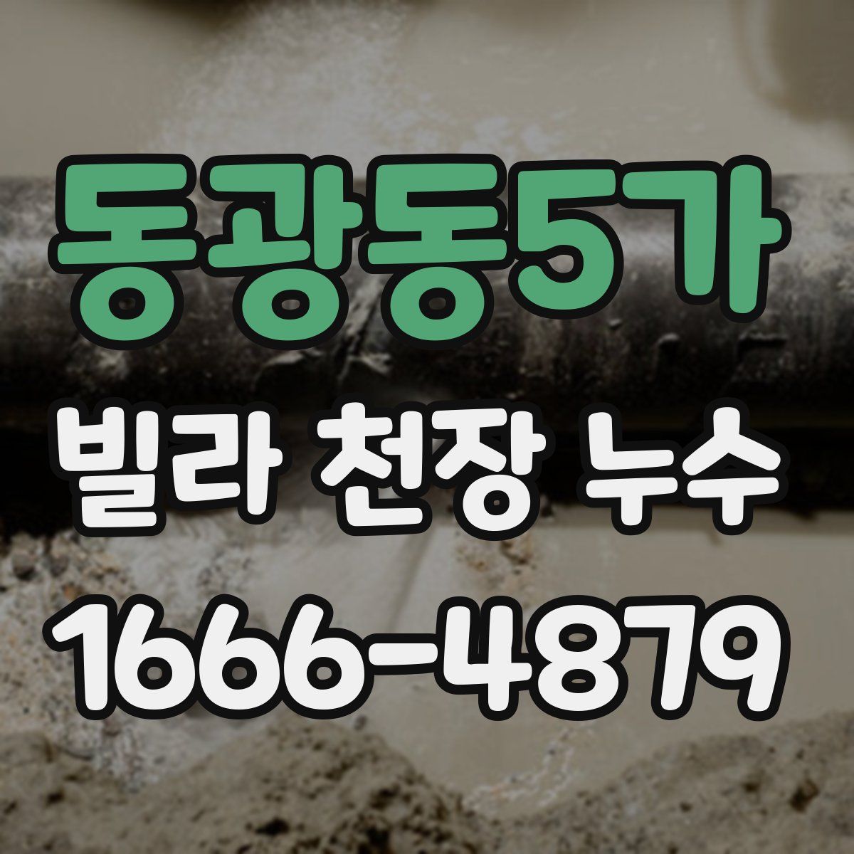 동광동5가 빌라 천장 누수