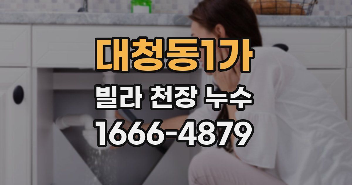 대청동1가 빌라 천장 누수