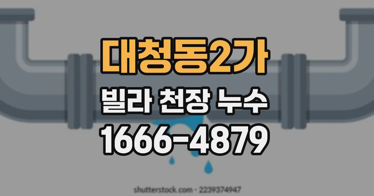 대청동2가 빌라 천장 누수