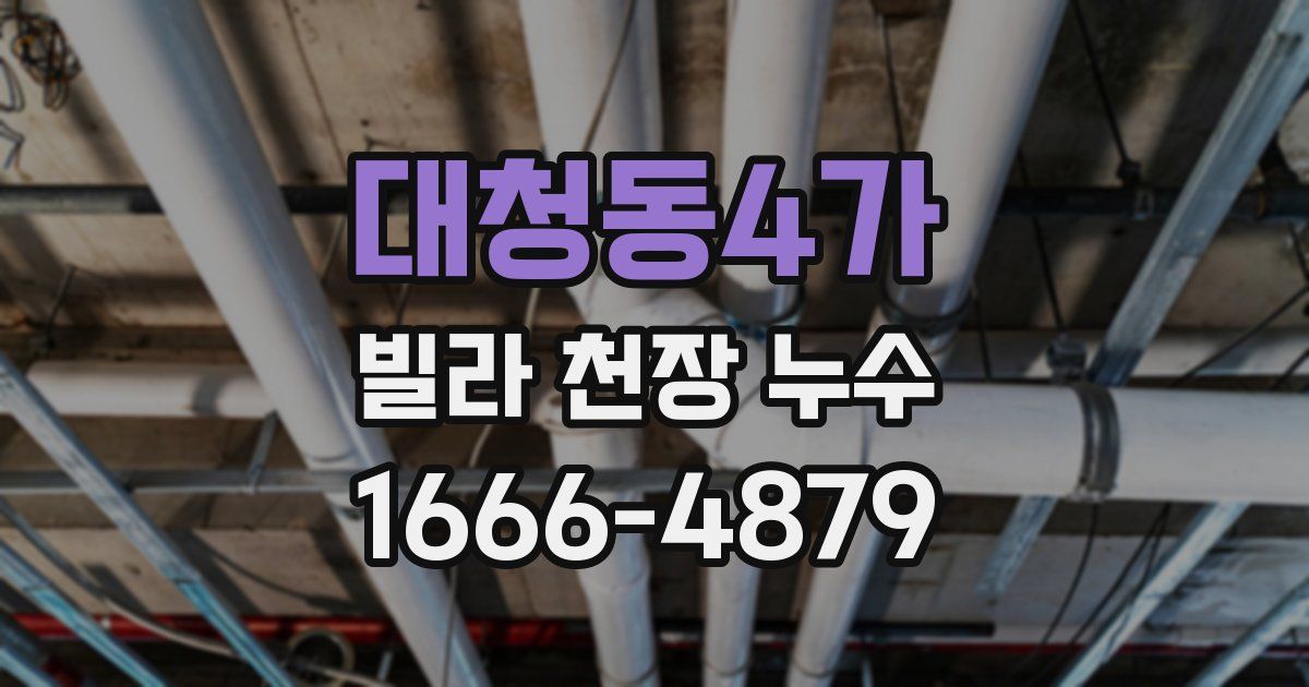 대청동4가 빌라 천장 누수