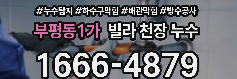 부평동1가 빌라 천장 누수