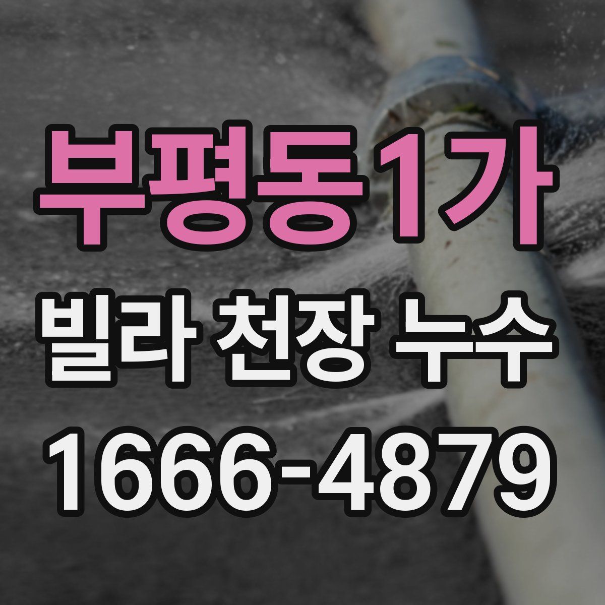 부평동1가 빌라 천장 누수