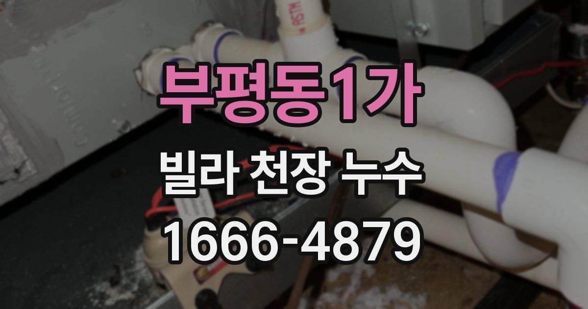 부평동1가 빌라 천장 누수