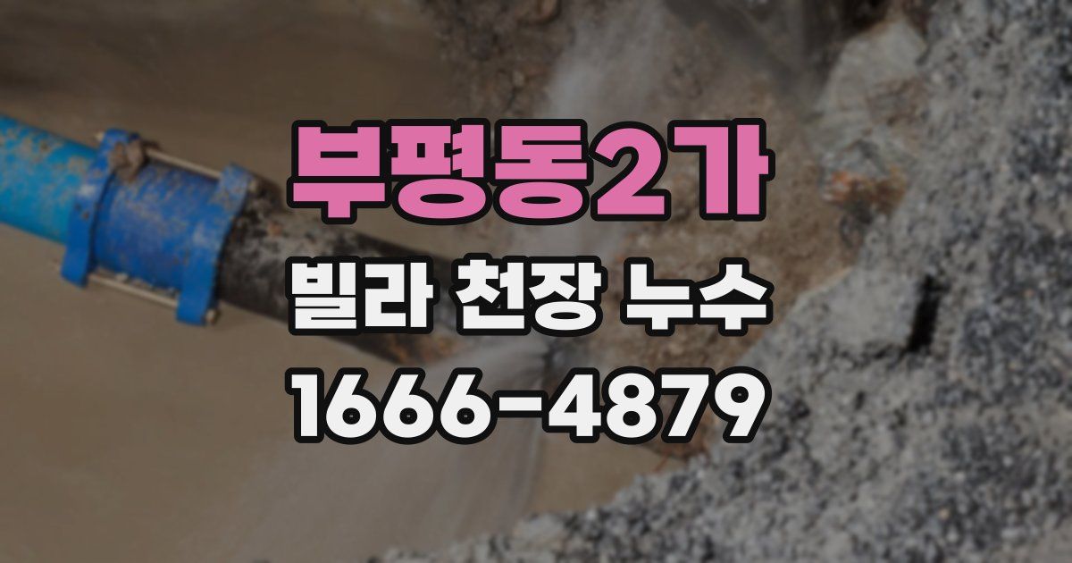 부평동2가 빌라 천장 누수