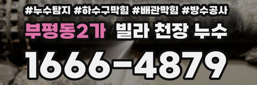 부평동2가 빌라 천장 누수