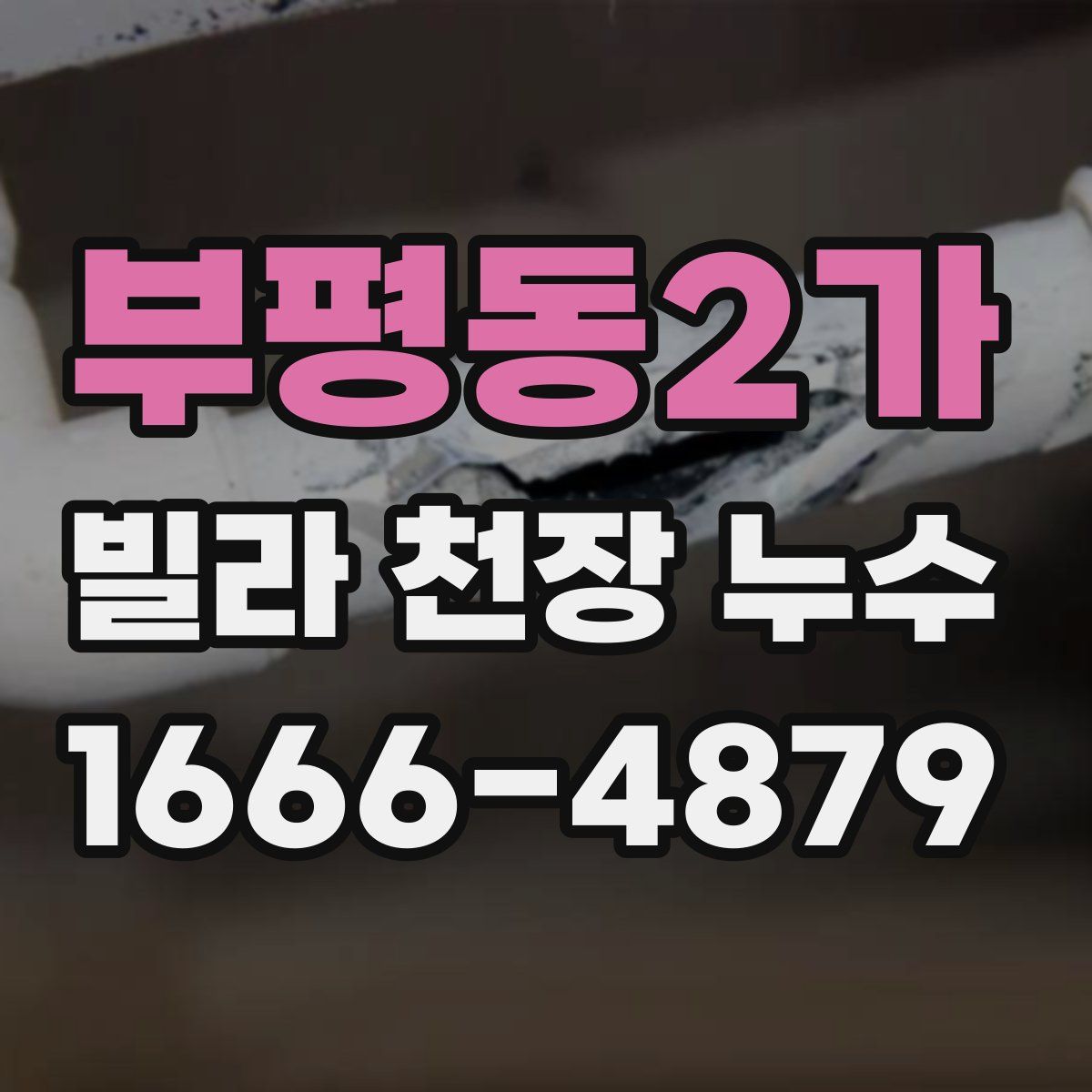 부평동2가 빌라 천장 누수