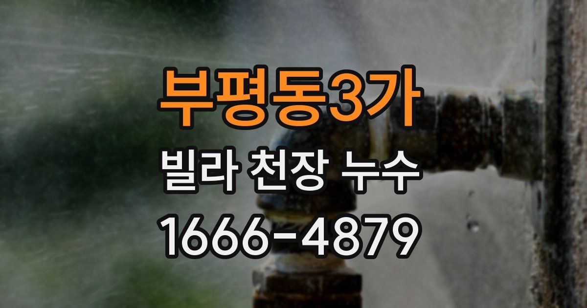 부평동3가 빌라 천장 누수