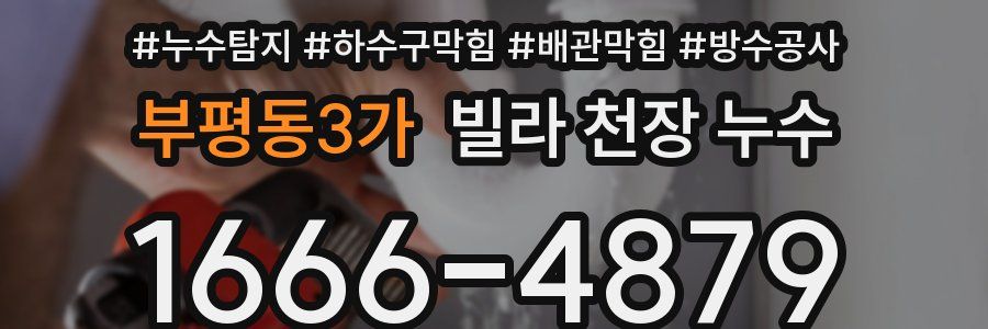 부평동3가 빌라 천장 누수