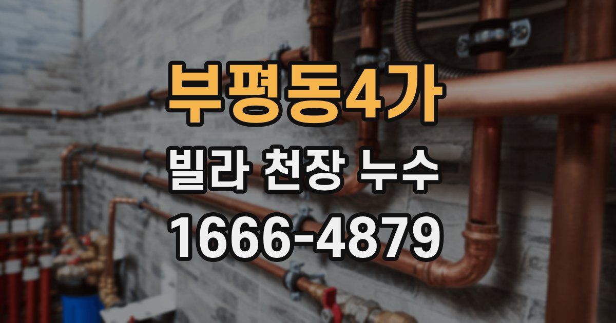 부평동4가 빌라 천장 누수