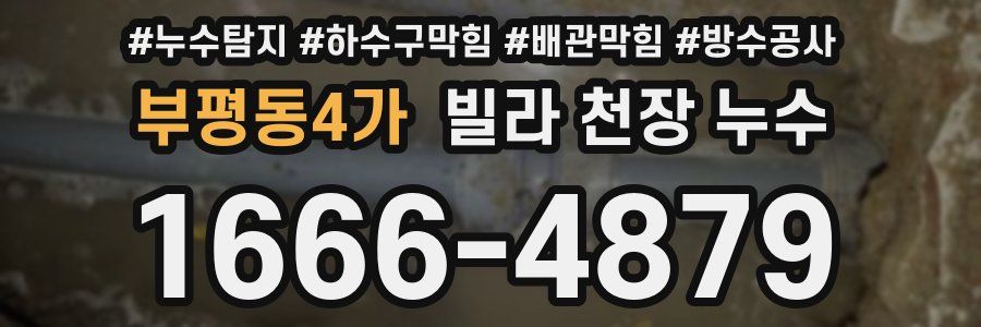부평동4가 빌라 천장 누수