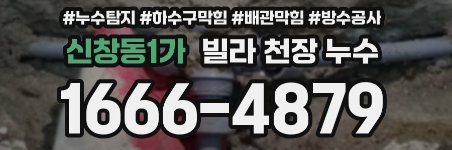 신창동1가 빌라 천장 누수