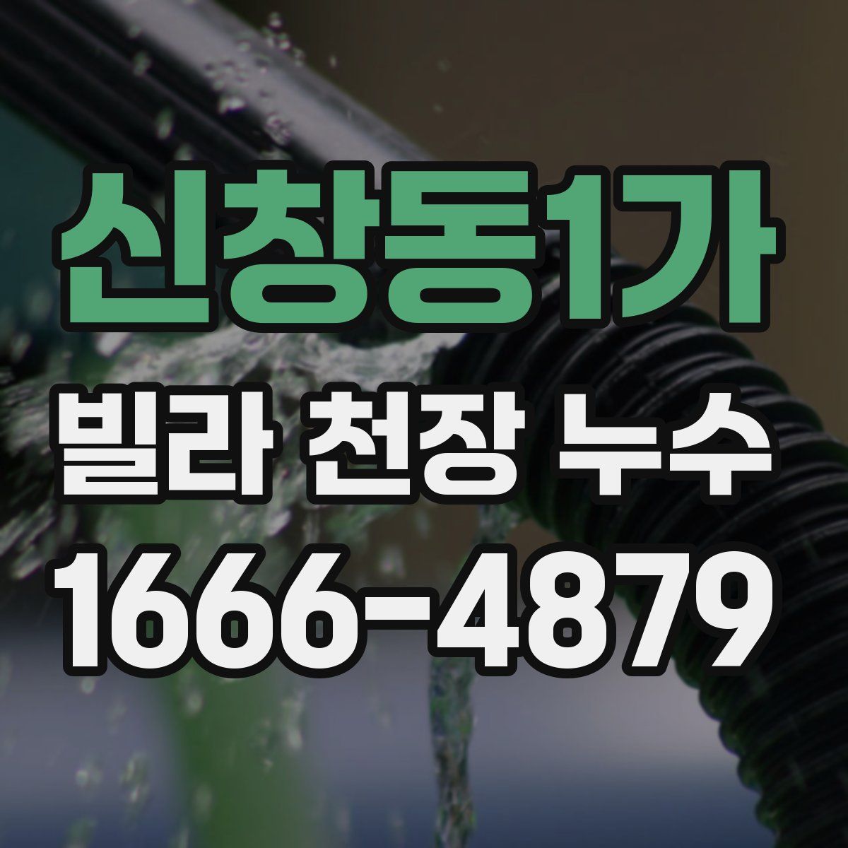 신창동1가 빌라 천장 누수