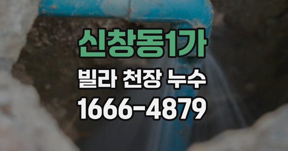 신창동1가 빌라 천장 누수