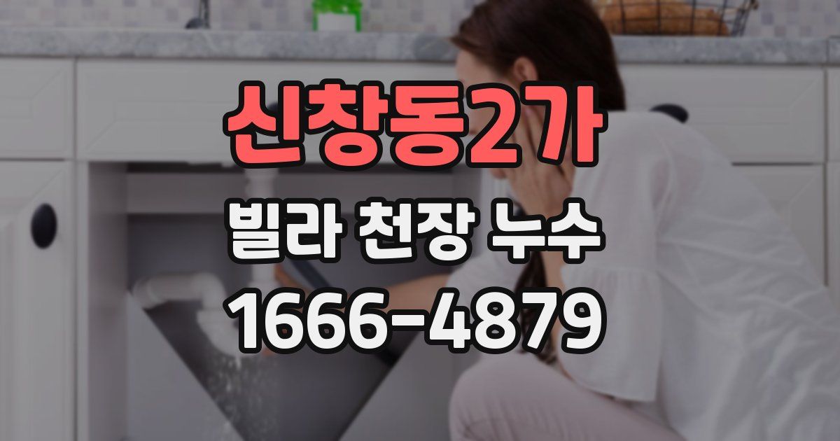 신창동2가 빌라 천장 누수