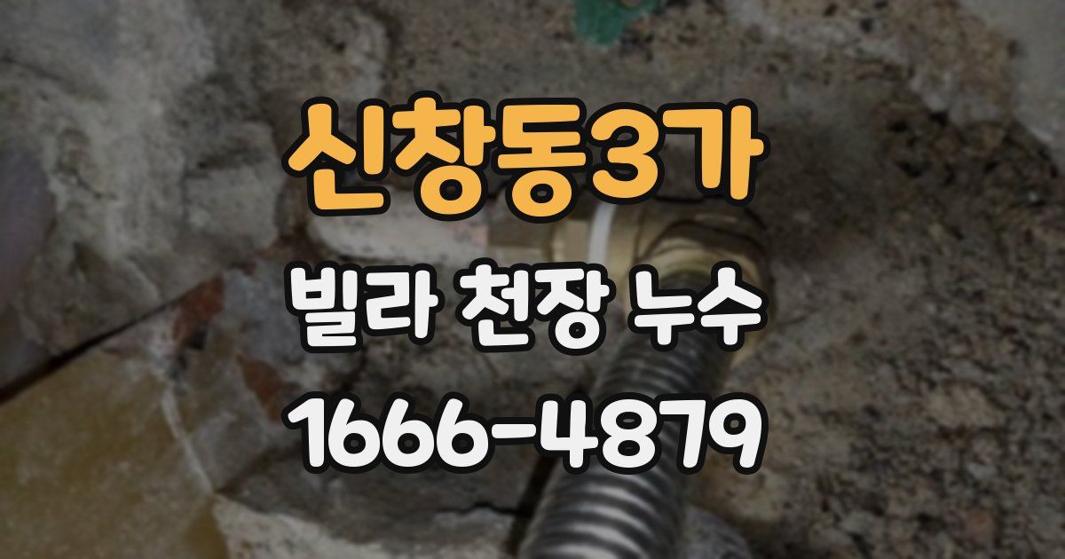 신창동3가 빌라 천장 누수