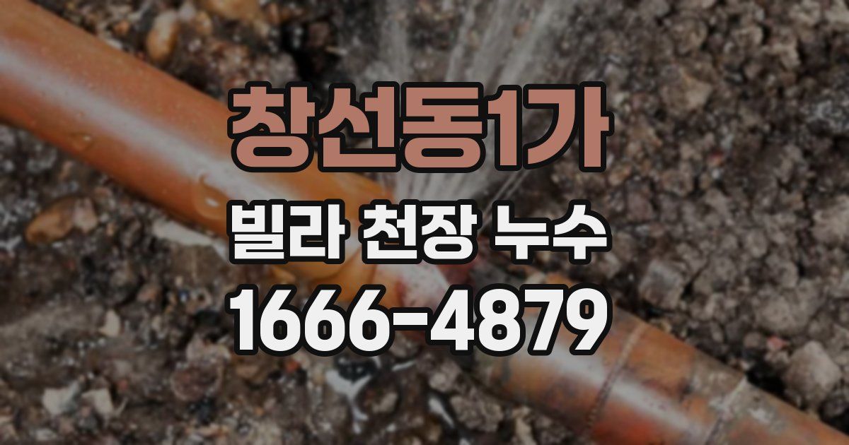 창선동1가 빌라 천장 누수
