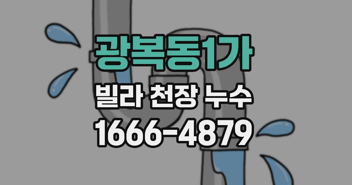 광복동1가 빌라 천장 누수