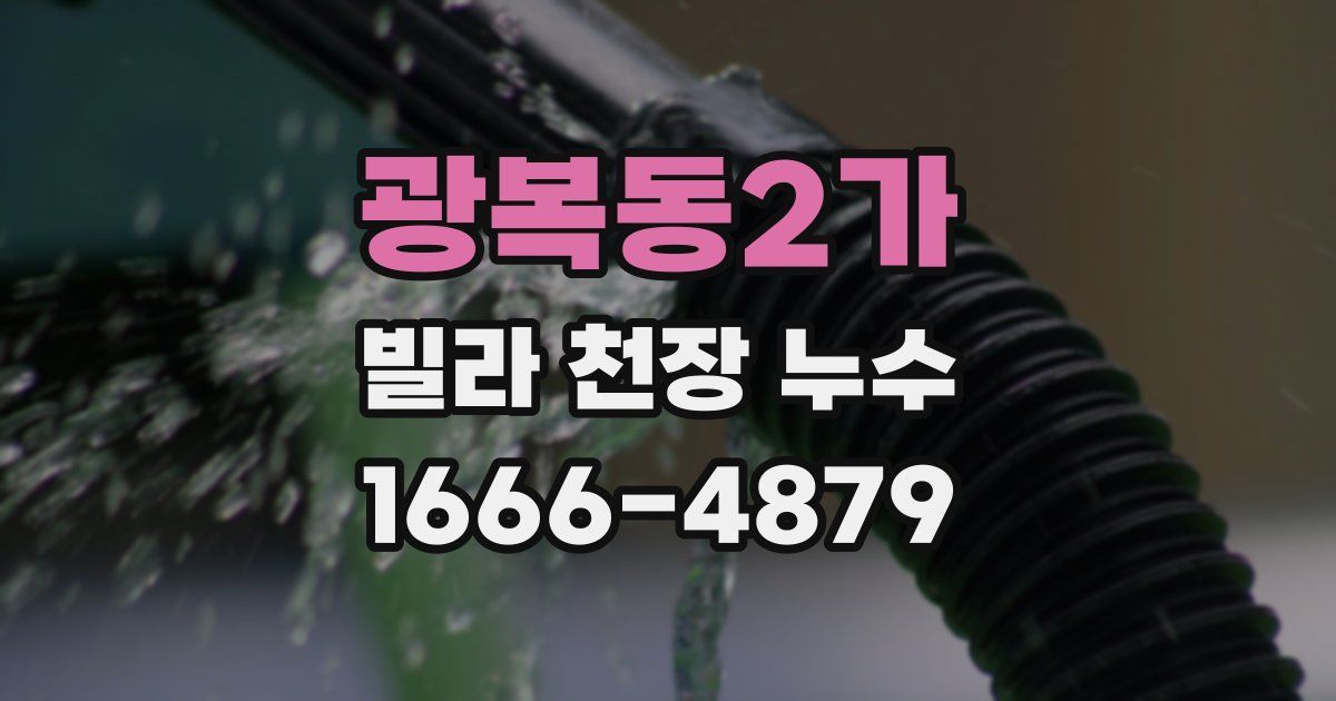 광복동2가 빌라 천장 누수