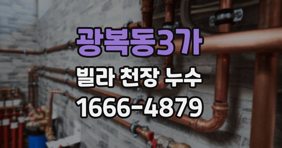 광복동3가 빌라 천장 누수