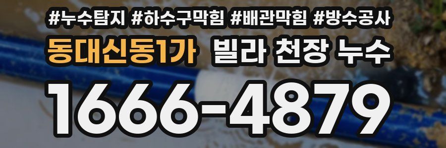 동대신동1가 빌라 천장 누수