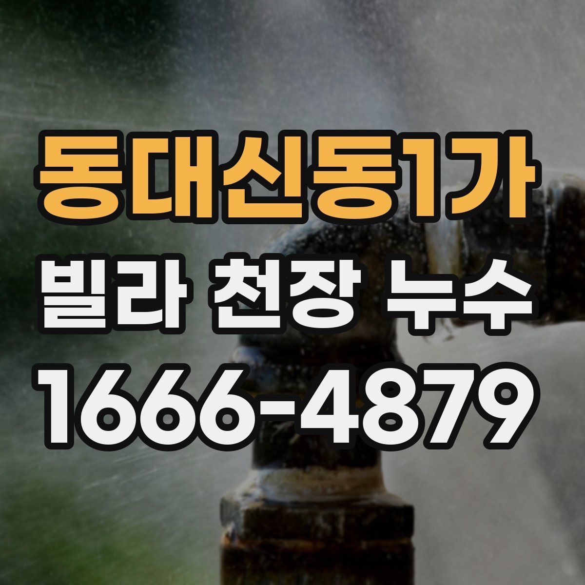 동대신동1가 빌라 천장 누수
