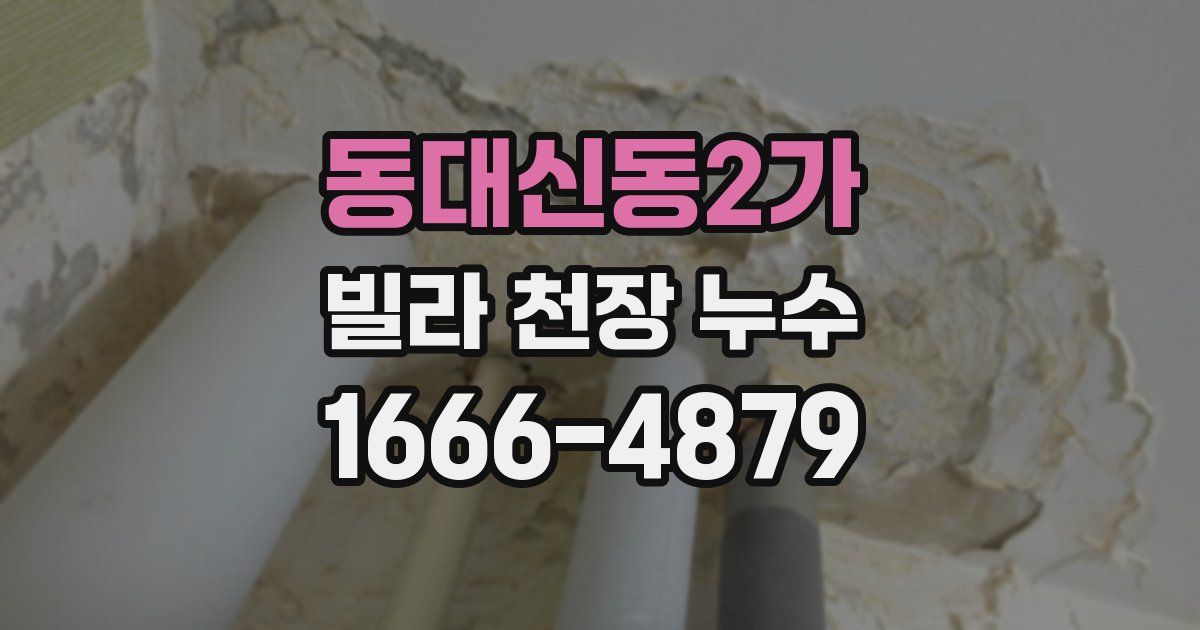 동대신동2가 빌라 천장 누수