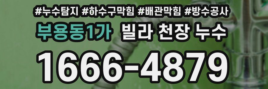 부용동1가 빌라 천장 누수