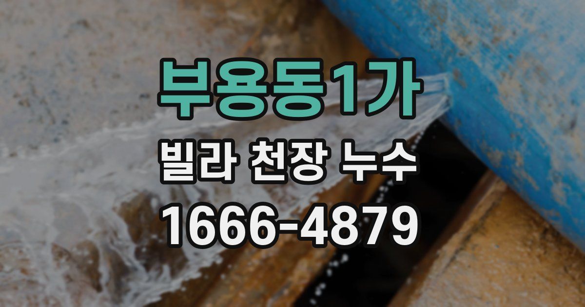부용동1가 빌라 천장 누수