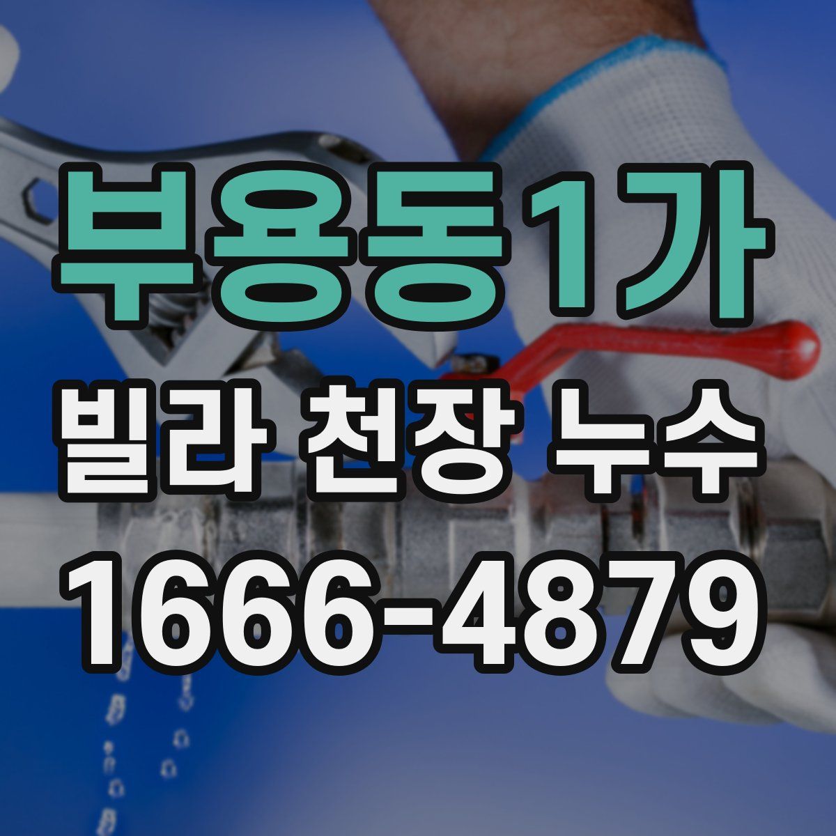 부용동1가 빌라 천장 누수